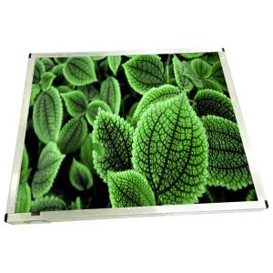 R213TFE-L53 LCD Screen Panel 21.3 Inch LCD Display Module