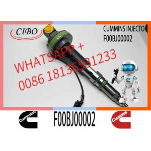 Common Rail Fuel Injector 2882078 F00BJ00002 Fuel Injector For QSK50 QSK60 K19