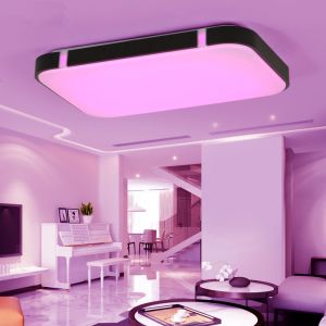 New Colorful Modern Led Ceiling Lights For Home Decorative RGB Light Fixture (WH