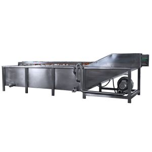 China 500kg/h industrial fruit washing machine on sale