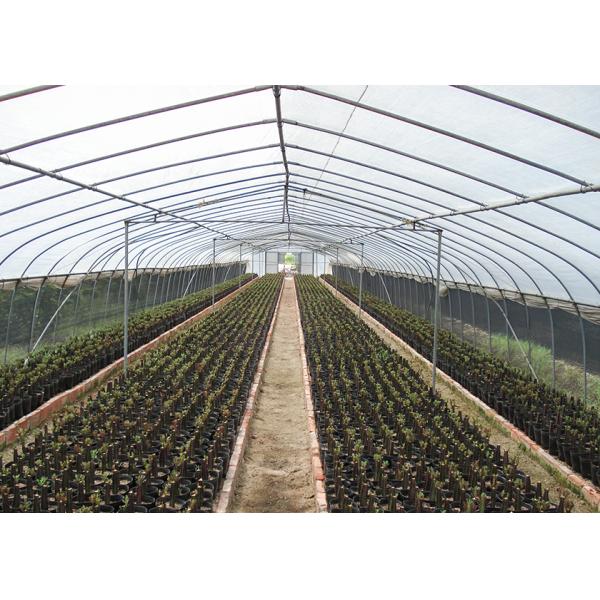 Small Scale Farming Single Span Greenhouse Customize Plastic Film Greenhouse