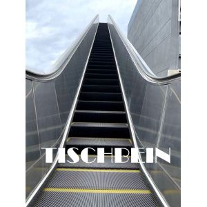 Hot-dip Galvanized Channel Steel Truss Heavy Duty Public Type Escalator Silent