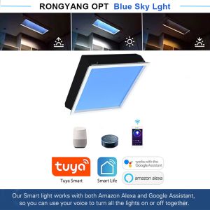 2x2ft Smart Skylight Panel 150W 5000lm+ 2100–7500K Mesh 5.0 DALI 0-10V Sun