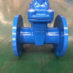 Rising Stem Flange Gate Valve DN40-DN1200 Ductile Iron Valve