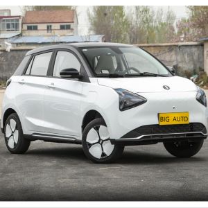 Big Capacity Pure Electric Car Joy 01 High Speed Electric Car Suitable for