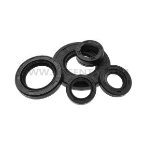 Original Motorcycle Rubber Full Oil Seal YBR125 XT125 TT-R125