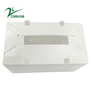 Sweet Corn Fruit Corrugated Boxes Banana Correx Packaging Boxes