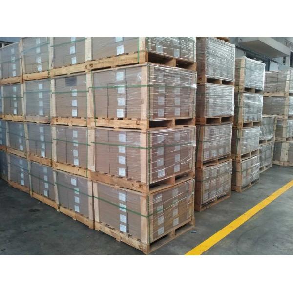 OEM Customized M8 M10 M12*500mm 1000mm 2000mm 3000mm Galvanized Trapezoidal Threaded Rod