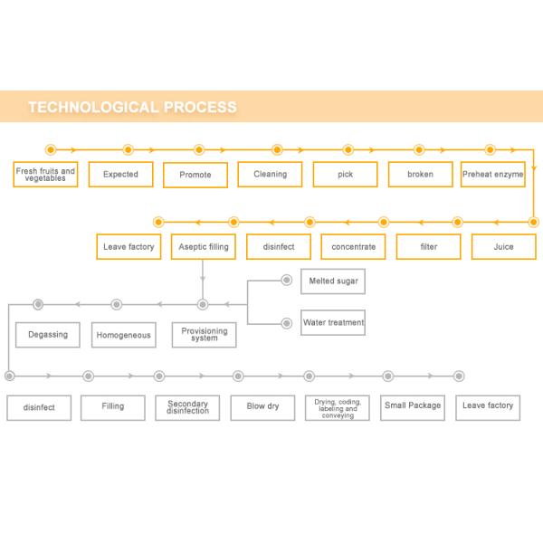 Turnkey projects conveyor drying machine for fruits and vegetables/foods/seeds
