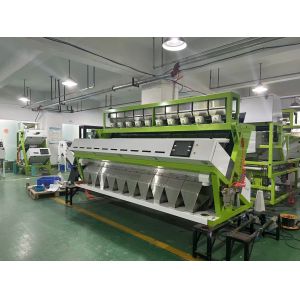 Wenyao Red Lentils Green Yellow Colored Peeled Split Lentils Lentils Sorting