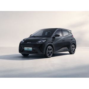 2025 New Model BYD Seagull Fast Charging Electric Vehicle Hot Selling Mini EV