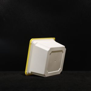 Leak Proof BPA Free PP Lunch Box Plastic Disposable Lunch Packing Box For Hot Or