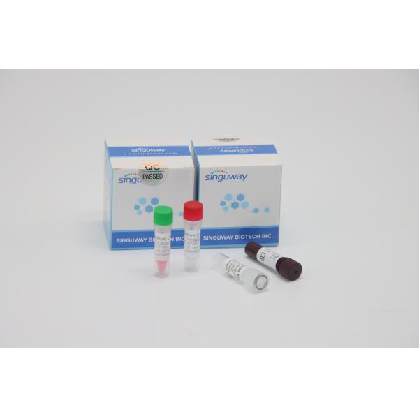 Quality Fast RT PCR Test Kit Quantitative Fluorescent For HFMD Virus Testing for sale
