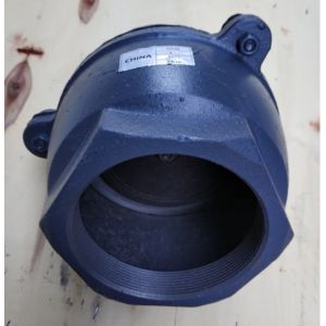 4'' GG20 PN16 BS21 cast iron foot valve