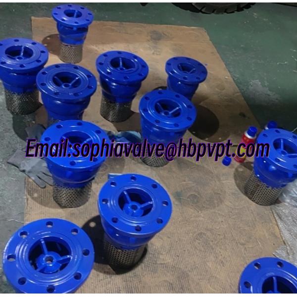 DN100 PN16 GGG50 ductile iron foot valve supplier
