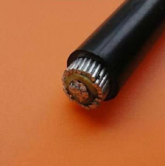 Al conductor export to Chile concentric cable 0.6/1KV 4 awg