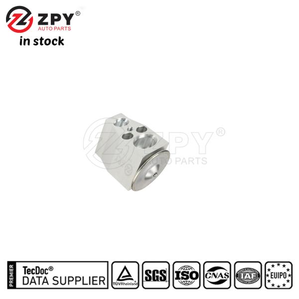 ZPY 5Q0816679B Hight Quality AC Expansion Valve For Audi A3 Quattro
