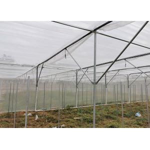 Multi Span Shade Net Greenhouse Rustproof For Strawberry And Mushroom