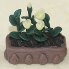 Wholesale Model Ceramic pot Flower CF45 from china suppliers
