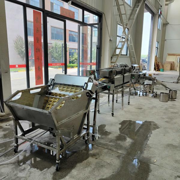 Low Noise Operation Is Suitable For The Factory Multi-Function Egg Knocking