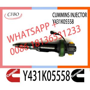 Y431K05417 QSK19 Diesel Engine Common Rail Fuel Injector Y431K05558 496417