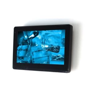 Wallmount Tablet With GPIO Inputs and Outputs For Control