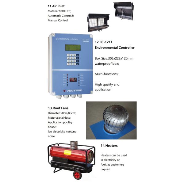 Automatic Egg Collection Hot-Dip Galvanized Battery Chicken Cage with Computerized Control System for Poultry Farming