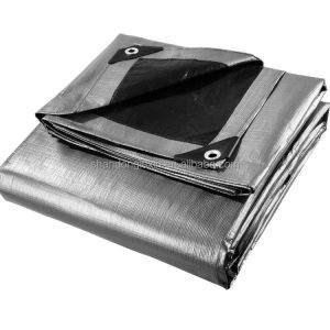 Wholesale Outdoor-Agriculture PE Tarpaulin Waterproof Dust-Proof Aging Resistant Moisture-Proof from china suppliers