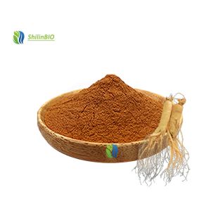 Ginseng Extract Powder 10%-80% Ginsenoside