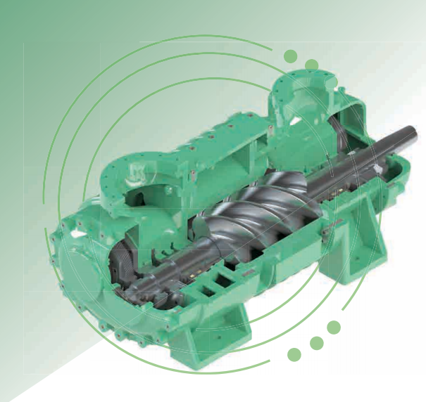 Screw Expansion Unit Natural gas value station decompression power generation