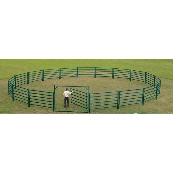 Metal Corral Fencing For Horses Sheep Cattle Livestock
