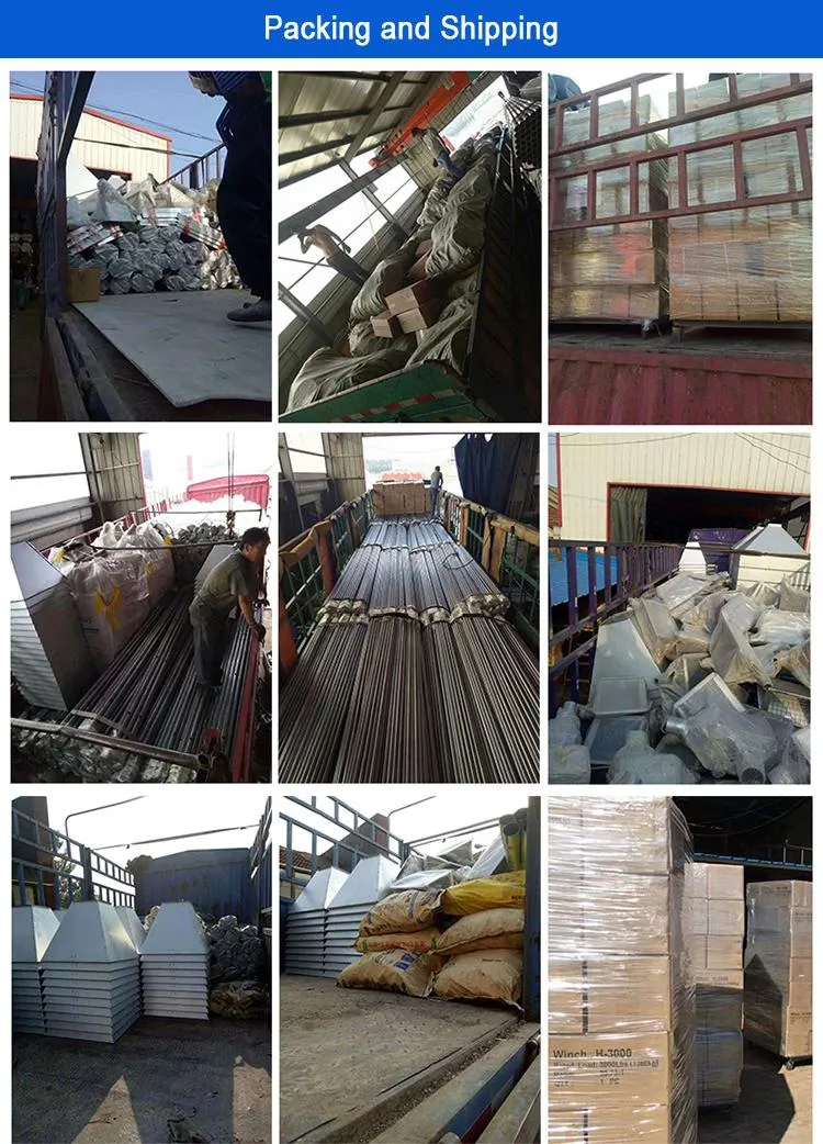 Automatic Layer Chicken Cage System Galvanized Structure For Efficient Farming