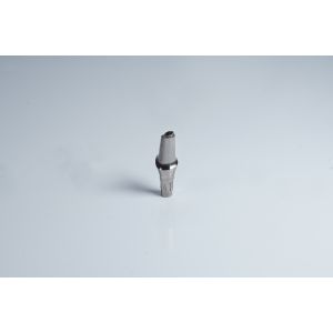 10mm 14mm Pre Milled Abutment Self Tapping Premilled Abutment