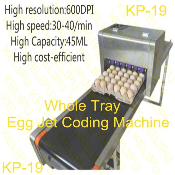 Free Upgrade Whole Tray Egg Jet Coding Machine With USB Disk Loading Easy To