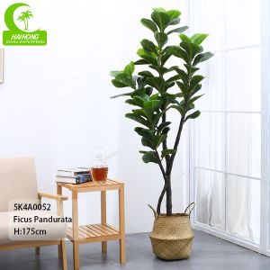 Wholesale Flame Retardant Height 155cm Aesthetic Artificial Ficus Lyrata With Pot from china suppliers