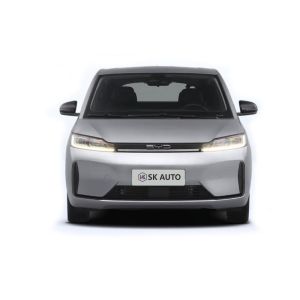 High Speed Luxury Fully Electric Suv Byd D1 Car 418KM Left Hand Drive