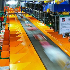 Advanced Technology Linear Cross Belt Sorter Efficient Sorting Cartons Clothing