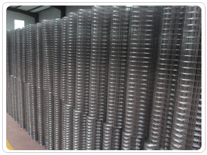 rustproof 1/2 Inch Welded Wire Mesh Electric Galvanizing To Wire Drawing