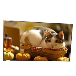 42.0 inch tft lcd display module P420HW02 V0 LCD Screen Panel for Digital