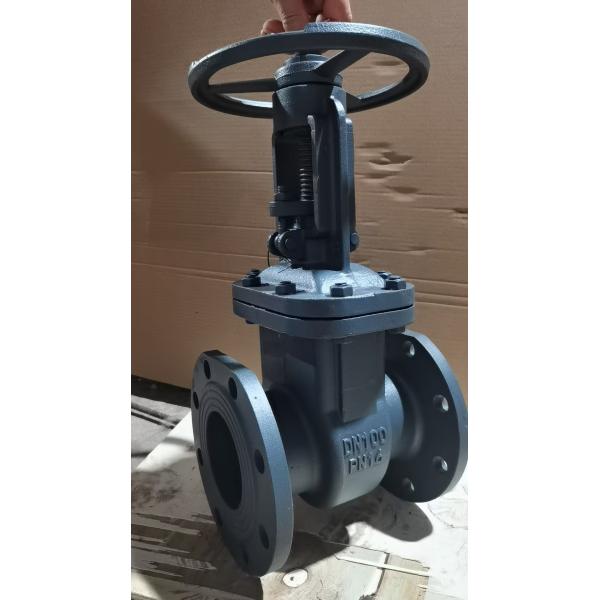 Cast Iron Flanged Gate Valve with ≤120℃ Operating Temperature, ASME B16.10