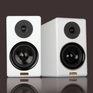 40W Passive Bluetooth Two Way Speaker Wireless Multipurpose