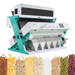 Wholesale Multi-functional Nuts Cashew Nuts Peanuts Walnuts Hazelnuts Color Sorter Peanut Hazelnut Color Separating Machine from china suppliers