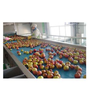 Automatic Complete Fruit Mango Juice Plant Orange Pineapple Mango Juice
