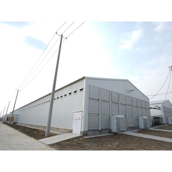 Prefab Poultry House for Layers Broilers and Breeders