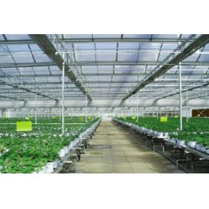 Bolting Connection Polycarbonate Panel Greenhouse , Durable Dome Shaped