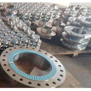 Nickel Lap Ring Type Joint Flange ASME B16.5 Ansi Class 150 Flange