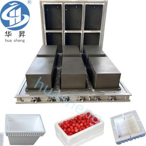 US Currency EPS Foam Machine for Automatic Styrofoam Molding of Polystyrene