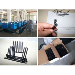 Wholesale C1022A Black Phosphate Drywall Screw M6X25 from china suppliers