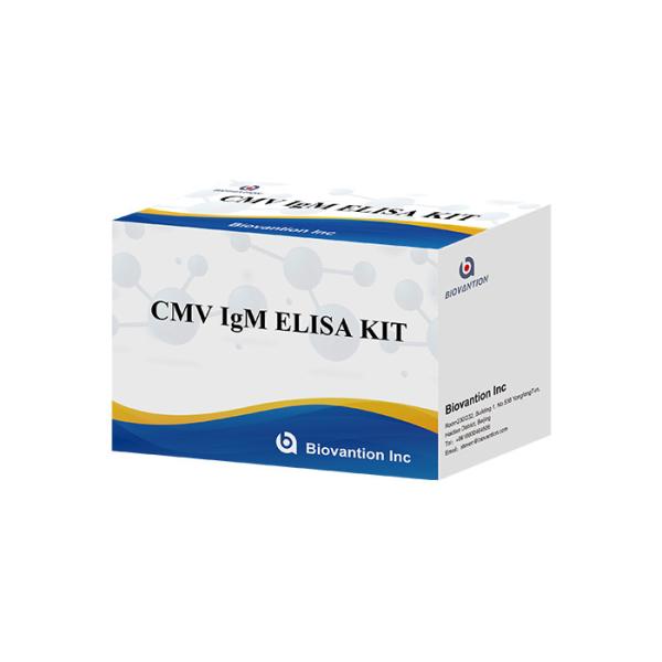 Quality Laboratory Or Hospital High Precision Antibody IgM To Cytomegalovirus (CMV) ELISA TEST KIT for sale