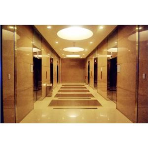 FuJi 6.0m/s High Speed Passenger Elevator 8 Persons Passenger Lifts For Flats